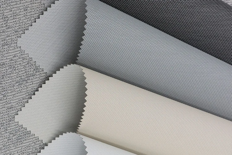 클리어 비전 트윌